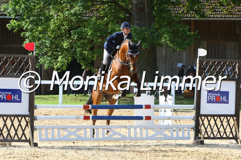 006M6424_Scalari_Springpferde A.JPG